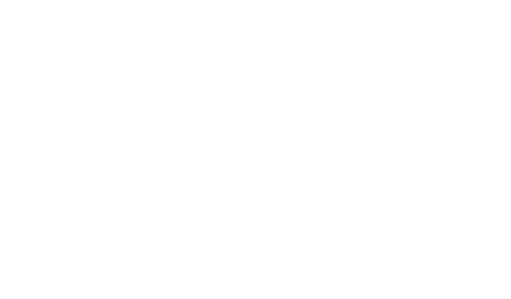 official partner